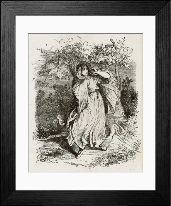 Framed Print : Folklore / Banshees Framed Print : Folklore / Banshees