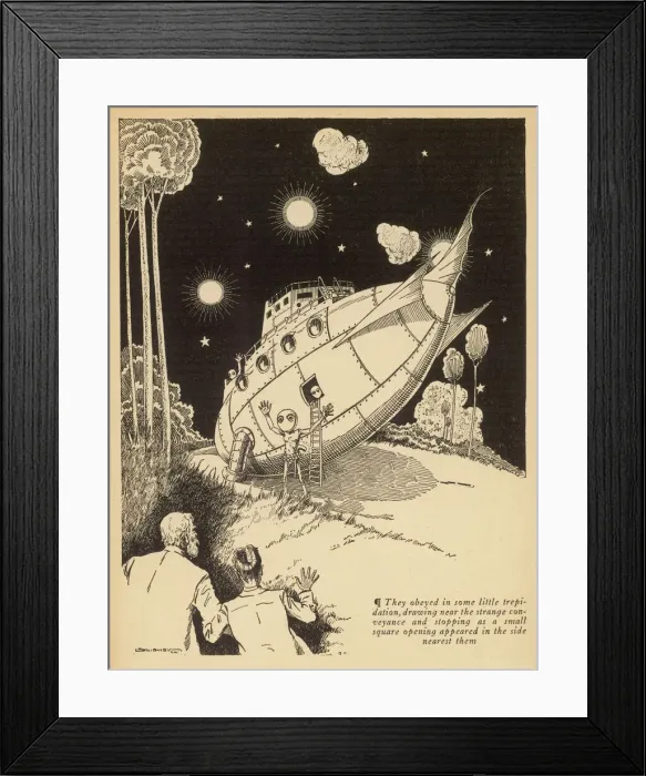 Framed Print : microcosmic Buccaneers Framed Print : microcosmic Buccaneers