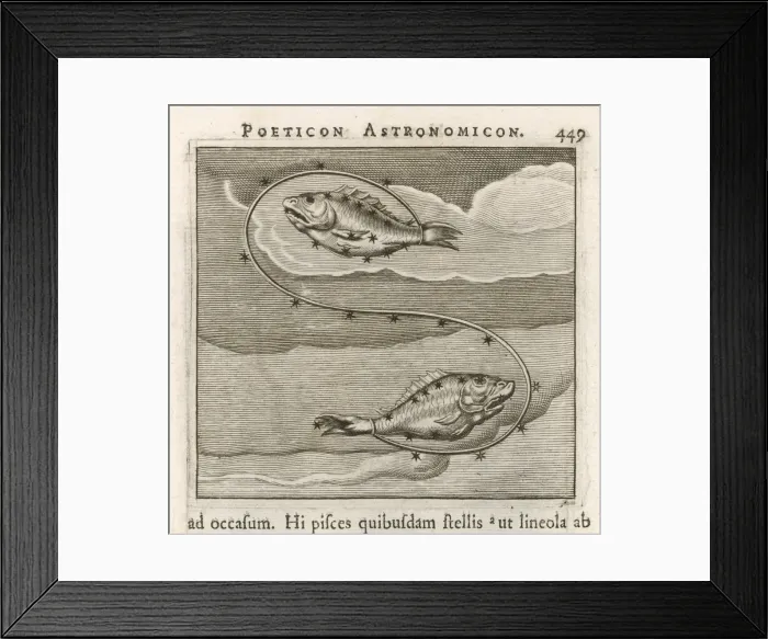 Framed Print : Astrology / Zodiac Framed Print : Astrology / Zodiac