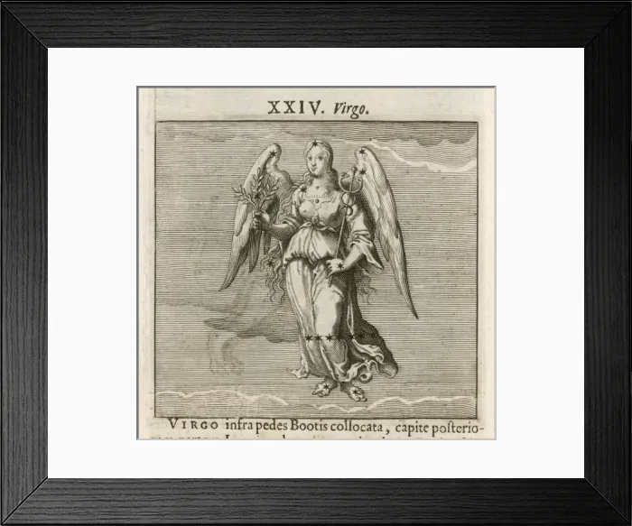 Framed Print : Astrology / Zodiac Framed Print : Astrology / Zodiac