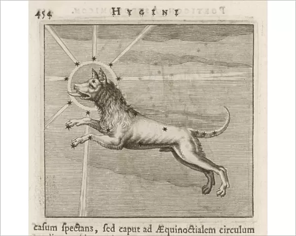 Hyginus  /  Canis Major