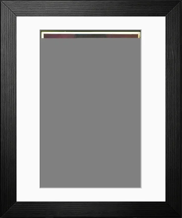 Framed Print : Lord Francis Bacon Framed Print : Lord Francis Bacon