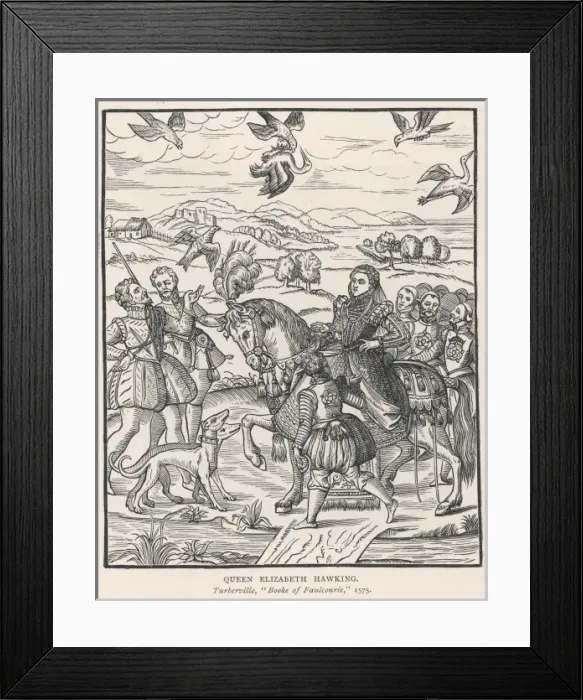 Framed Print : Q Elizabeth Hawking Framed Print : Q Elizabeth Hawking