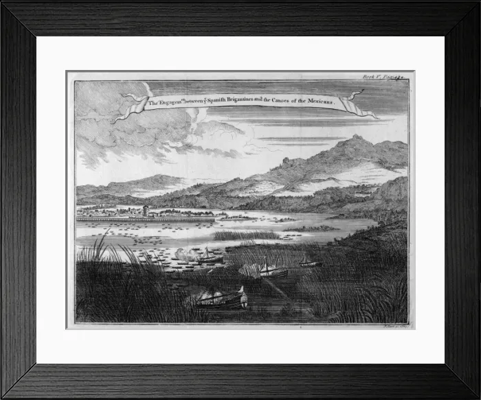 Framed Print : Cortes on Mexican Lake Framed Print : Cortes on Mexican Lake