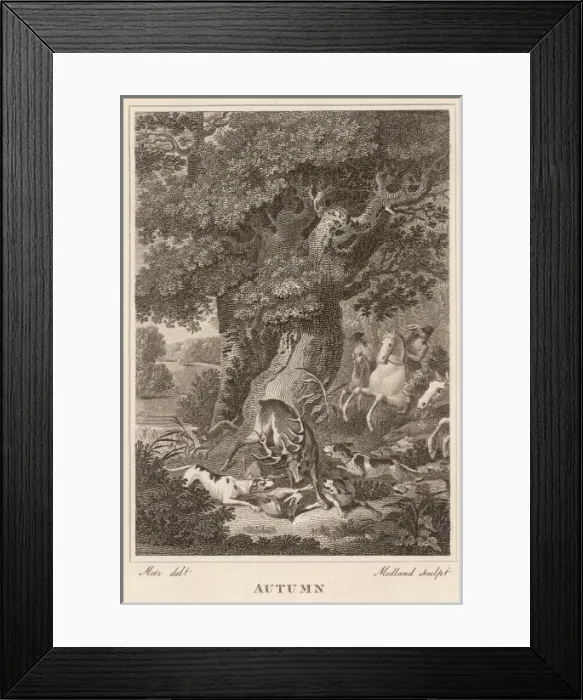 Framed Print : Natural Phenomena / Season Framed Print : Natural Phenomena / Season