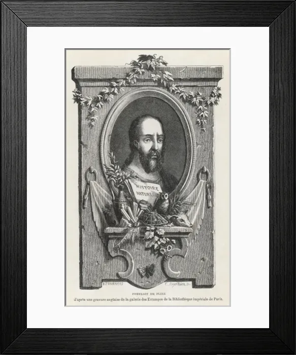 Framed Print : Pliny the Elder Framed Print : Pliny the Elder