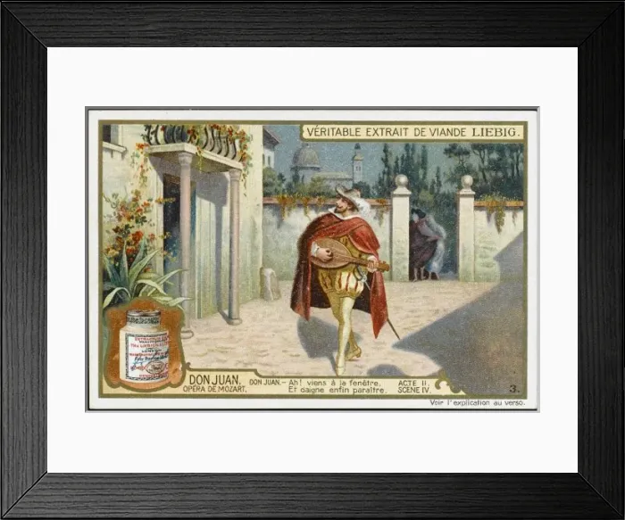 Framed Print : Music / Opera / Mozart Framed Print : Music / Opera / Mozart