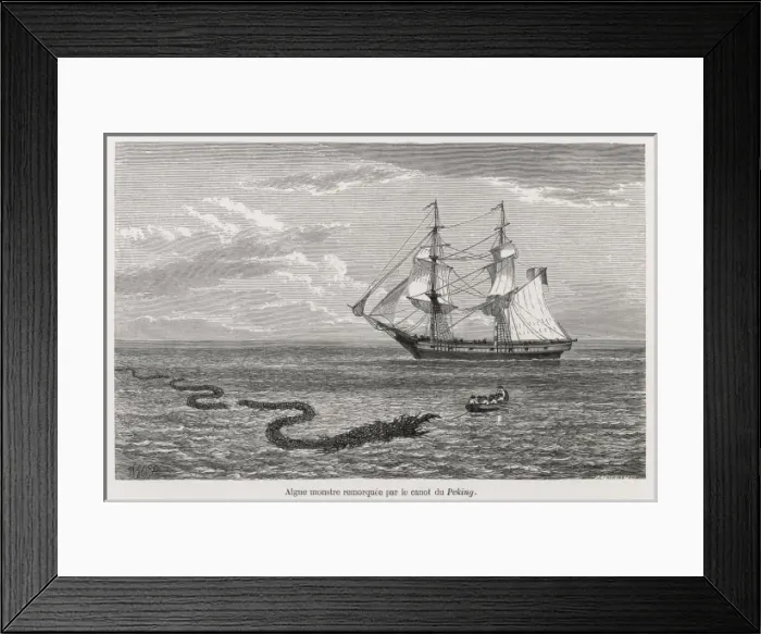 Framed Print : Folklore / Sea Serpent Framed Print : Folklore / Sea Serpent