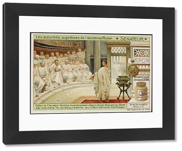 Punic War, Cato & Senate