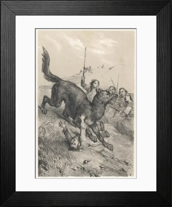 Framed Print : Gevaudan Beast Framed Print : Gevaudan Beast