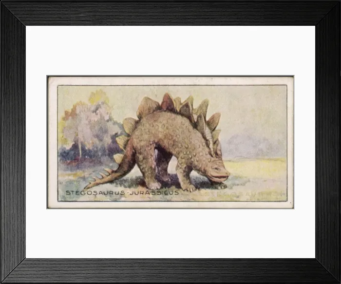 Framed Print : Dinosaur / Stegosaurus Framed Print : Dinosaur / Stegosaurus