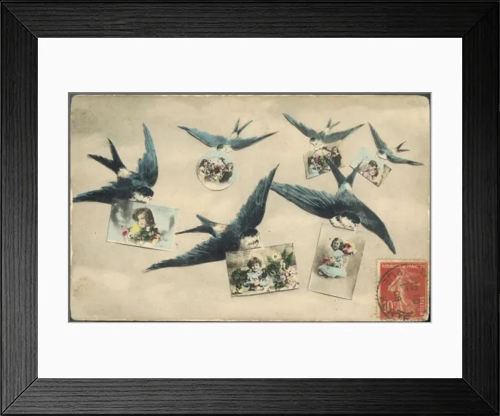 Framed Print : Swallows / Postcards 1908 Framed Print : Swallows / Postcards 1908