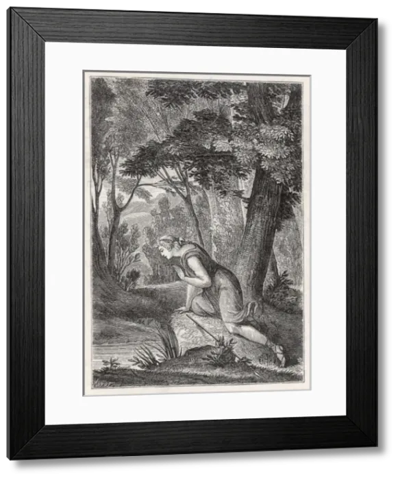Framed Print : Narcissus / Classical Myth Framed Print : Narcissus / Classical Myth