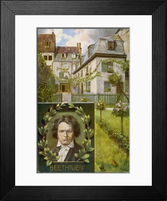 Framed Print : Ludwig Van Beethoven Framed Print : Ludwig Van Beethoven