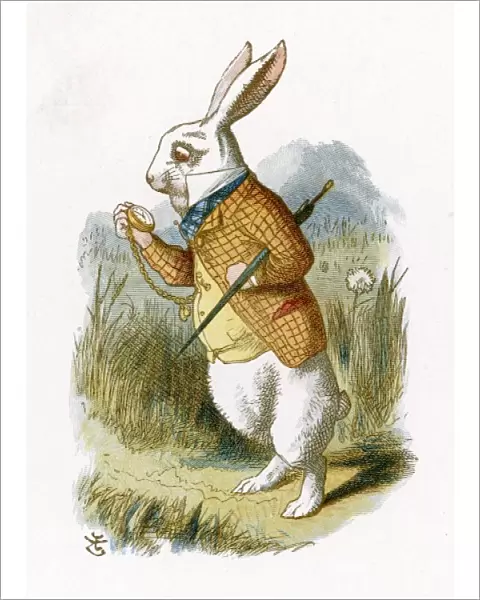 Carroll  /  White Rabbit