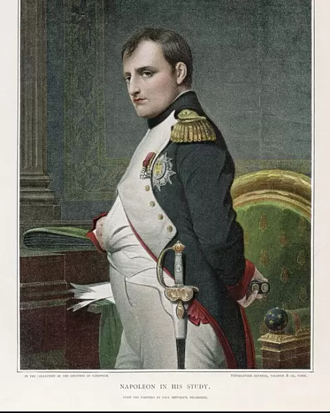 Napoleon in Study 1807