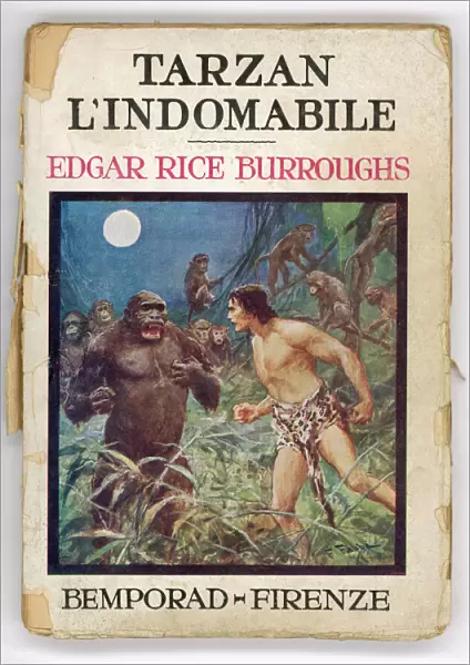 Tarzan & Gorilla
