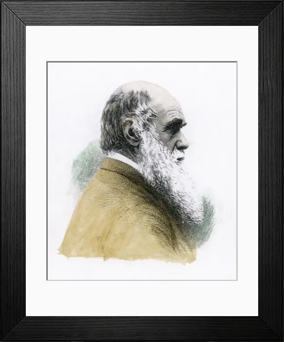 Framed Print : Charles Darwin Framed Print : Charles Darwin