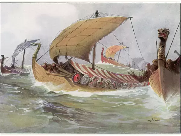 Viking Raiding Fleet