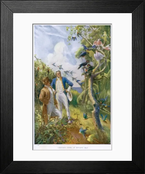 Framed Print : Events / Pacific / Cook Framed Print : Events / Pacific / Cook