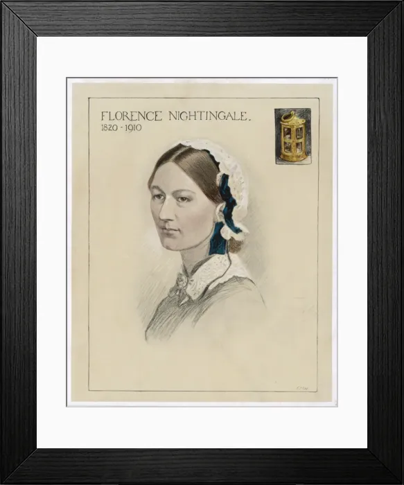 Framed Print : Nightingale / Emh Drawing Framed Print : Nightingale / Emh Drawing