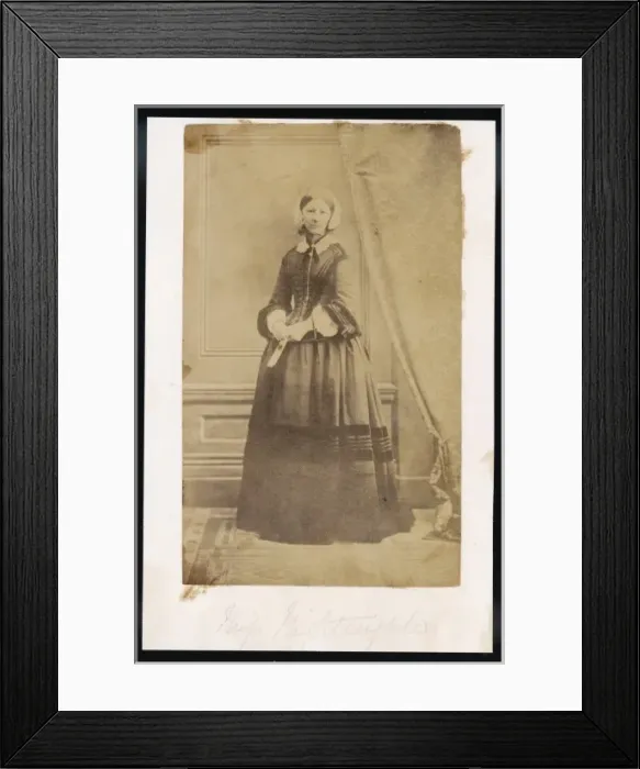 Framed Print : Nightingale / Anon Photo Framed Print : Nightingale / Anon Photo
