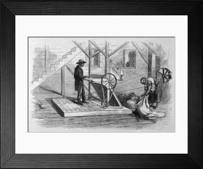Framed Print : Industry / Textiles / Cotton Framed Print : Industry / Textiles / Cotton