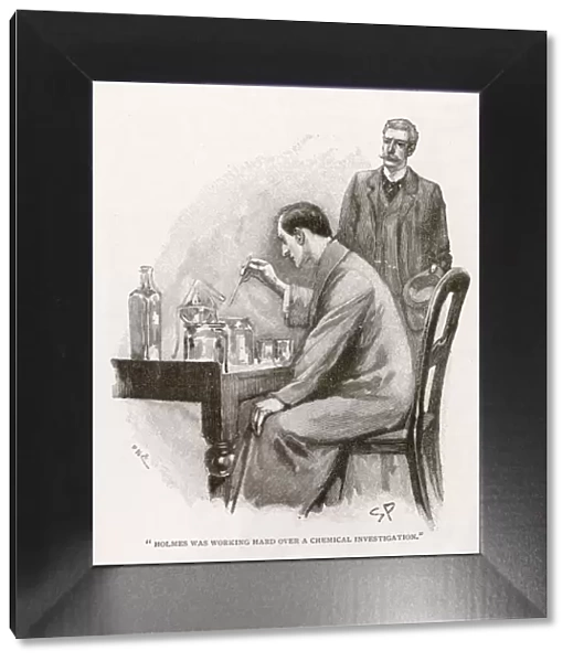 Holmes & Watson  /  In Lab