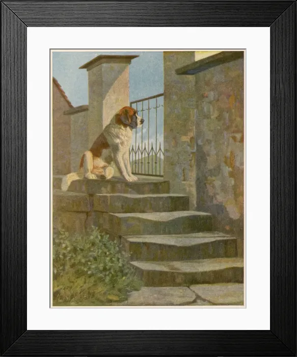 Framed Print : Dog Waiting Framed Print : Dog Waiting