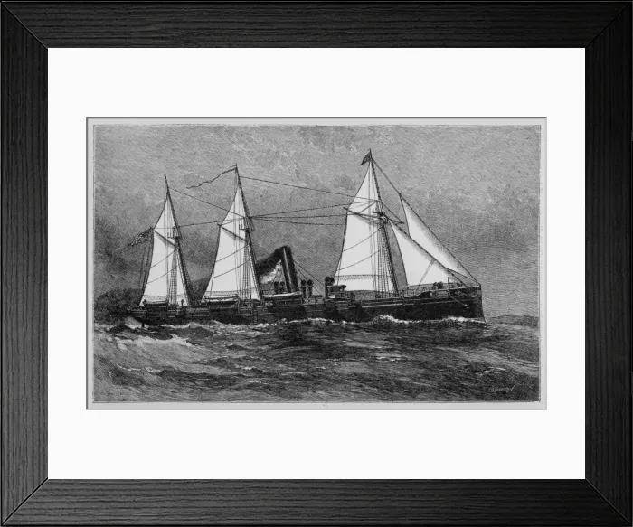 Framed Print : Dolphin Steamer Framed Print : Dolphin Steamer