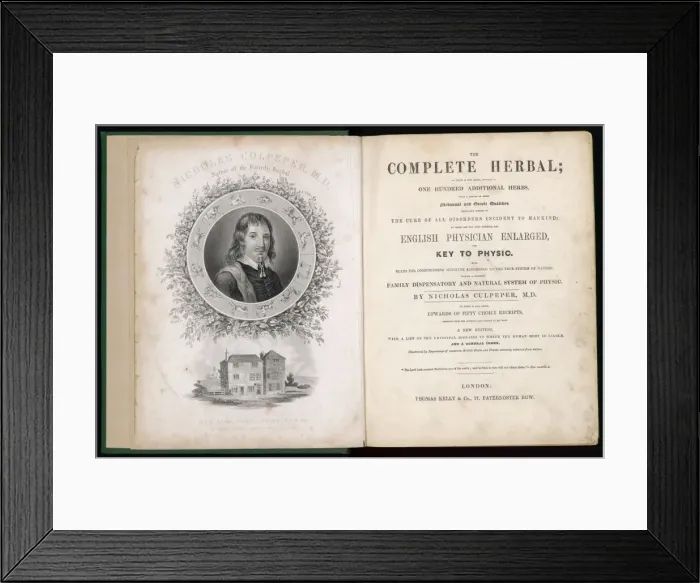 Framed Print : Plants / Herbs / General Framed Print : Plants / Herbs / General