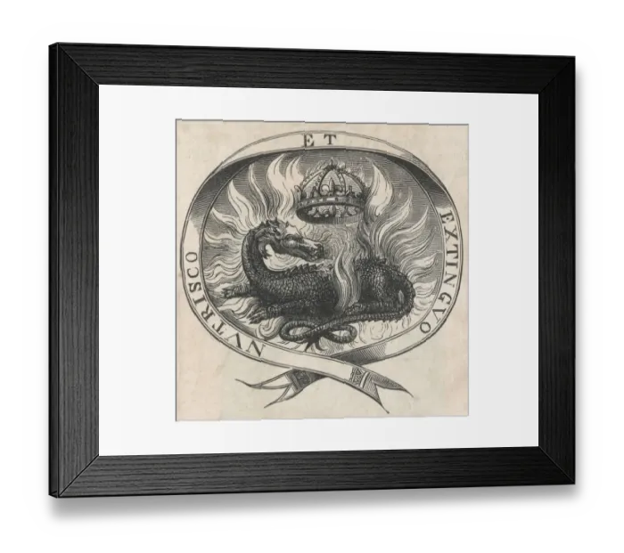 Framed Print : Folklore / Salamander Framed Print : Folklore / Salamander