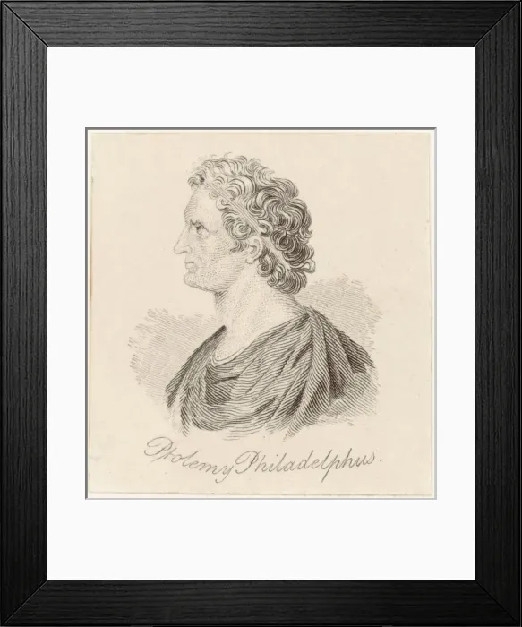 Framed Print : Ptolemy Philadelphus Framed Print : Ptolemy Philadelphus