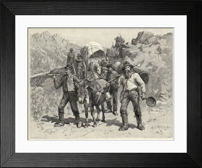 Framed Print : Gold in California Framed Print : Gold in California