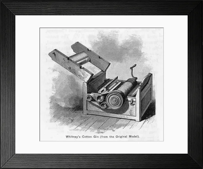 Framed Print : Whitneys Gin Framed Print : Whitneys Gin
