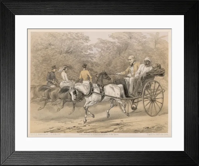 Framed Print : Curry&rice / Station Doc Framed Print : Curry&rice / Station Doc