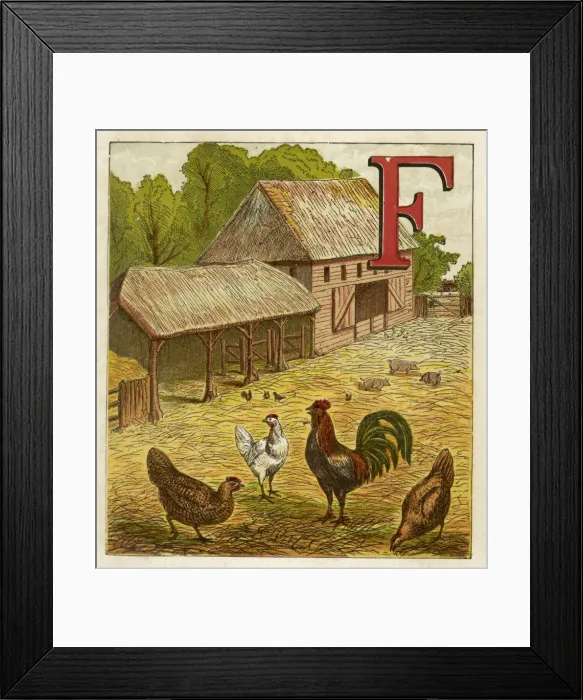Framed Print : Poultry in Farmyard 1867 Framed Print : Poultry in Farmyard 1867