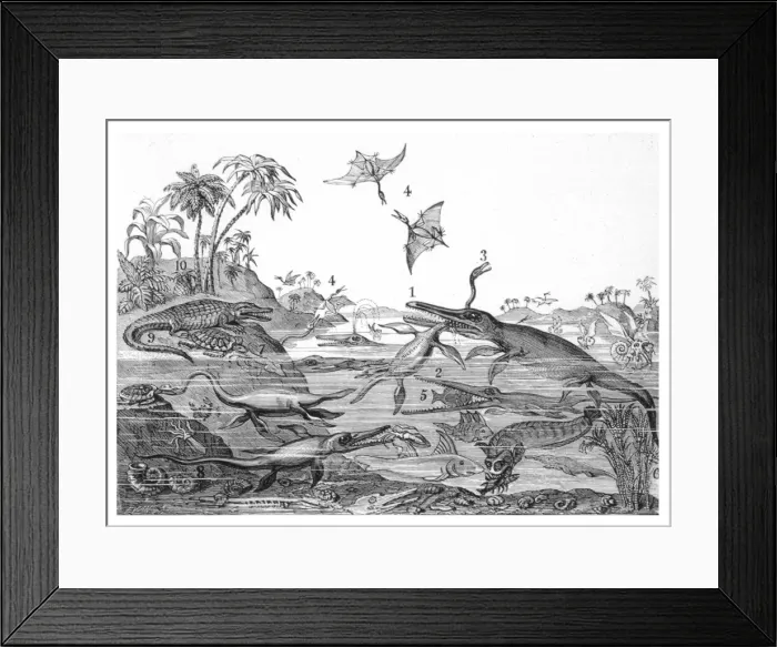 Framed Print : ANCIENT DORSETSHIRE Framed Print : ANCIENT DORSETSHIRE