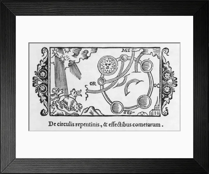 Framed Print : Comets & Cattle Framed Print : Comets & Cattle