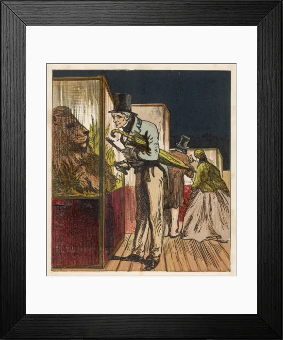 Framed Print : Bm Natural History Framed Print : Bm Natural History
