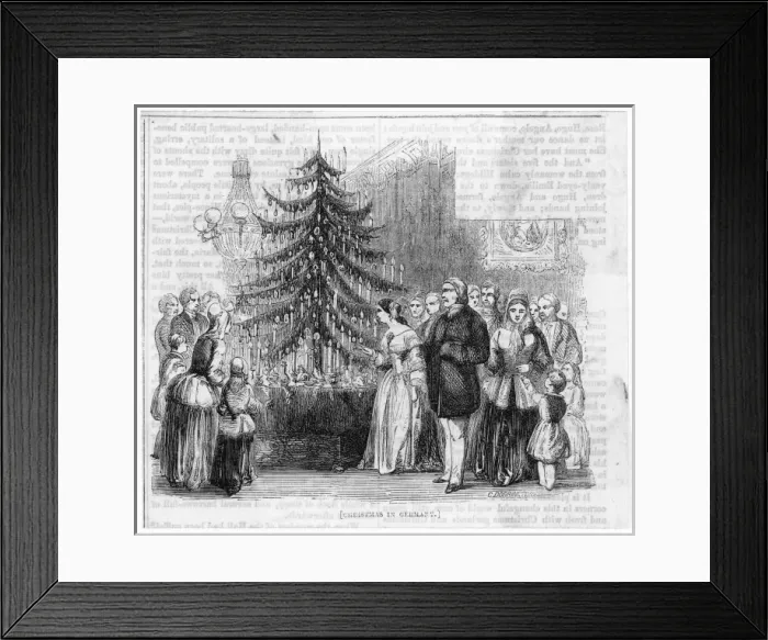 Framed Print : German Tree Framed Print : German Tree