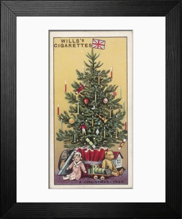 Framed Print : Just a Tree Framed Print : Just a Tree