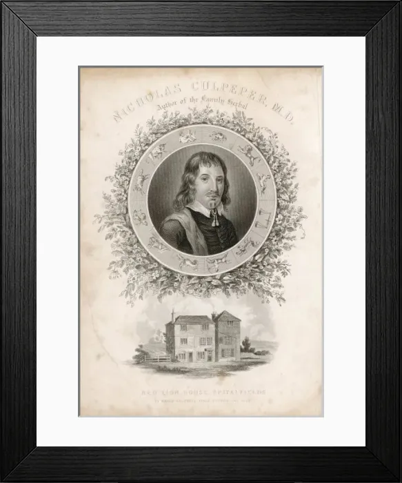 Framed Print : CULPEPER. Nicholas Culpeper Herbalist Framed Print : CULPEPER. Nicholas Culpeper Herbalist