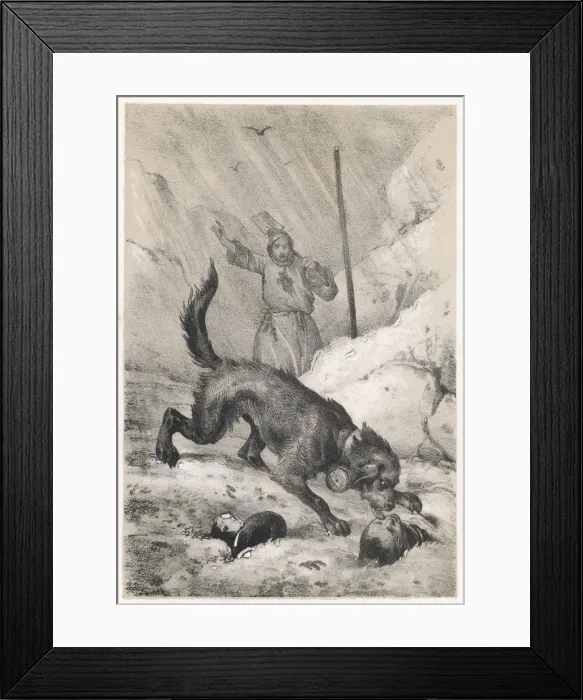 Framed Print : St Bernard Rescuing Framed Print : St Bernard Rescuing