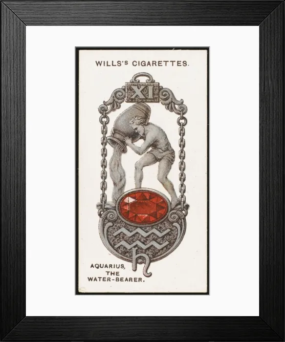 Framed Print : Zodiac Charms Aquarius Framed Print : Zodiac Charms Aquarius