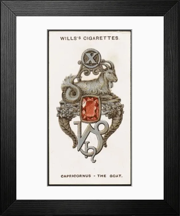 Framed Print : Zodiac Charms Capricorn Framed Print : Zodiac Charms Capricorn