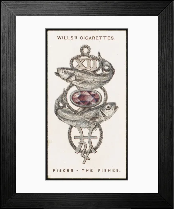 Framed Print : Zodiac Charms Pisces Framed Print : Zodiac Charms Pisces