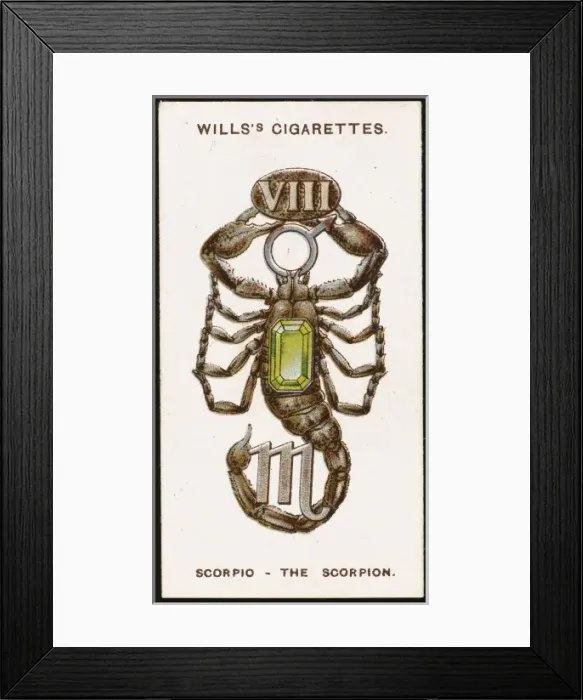 Framed Print : Zodiac Charms Scorpio Framed Print : Zodiac Charms Scorpio