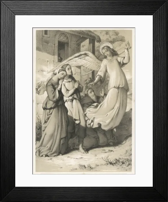 Framed Print : Flight Demo Framed Print : Flight Demo