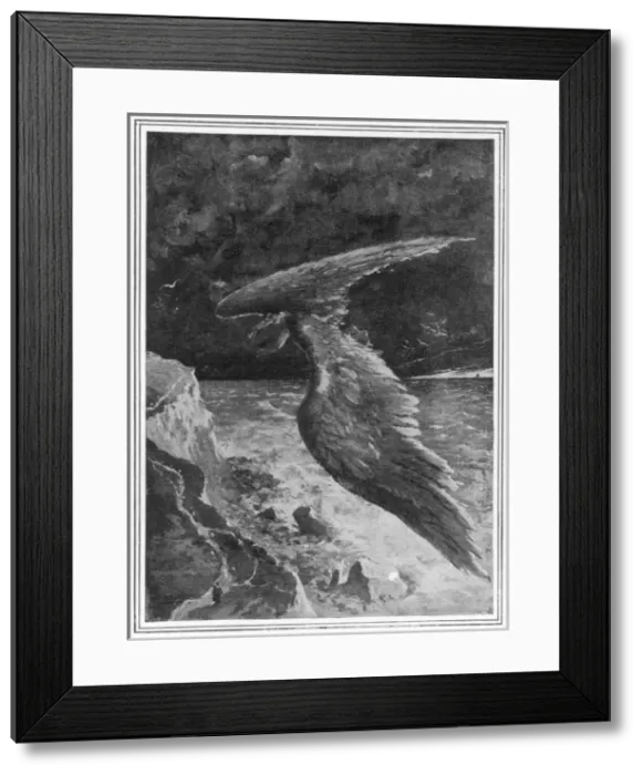 Framed Print : Size of Wings Needed Framed Print : Size of Wings Needed